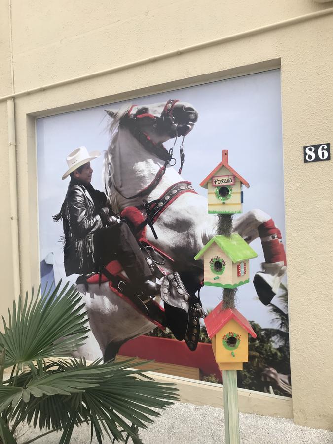 Pousada Recanto Do Cowboy Penha  Exterior photo